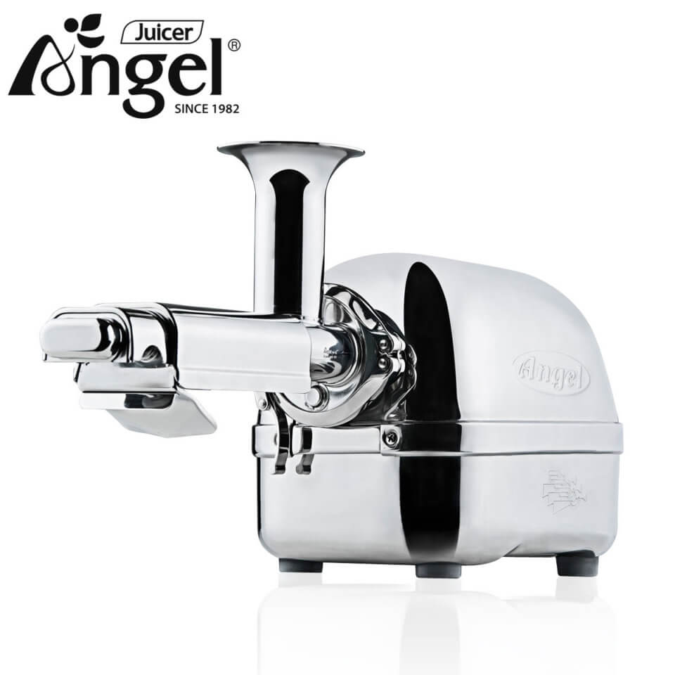Angel AG5500 Stainless Steel Twin Gear ColdPress Slow Juicer ⋆ Angel