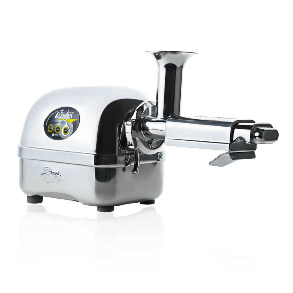 Angel AG5500 Stainless Steel Twin Gear ColdPress Slow Juicer ⋆ Angel